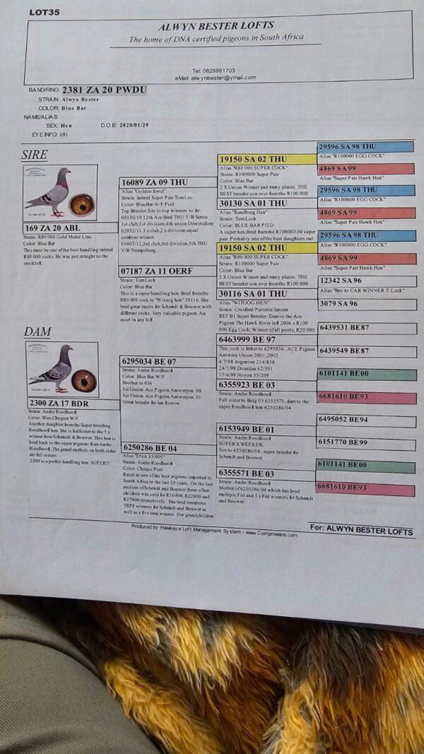 Lot Carnival Lofts Olr Summer Auction M Y Klingbiel Cyrl