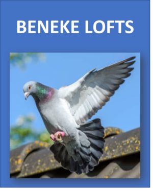 ACTIVE AUCTION - BENEKE LOFTS - FROM 24 APRIL TO SUNDAY 28 APRIL 2024 (ENDING FROM 14:20)