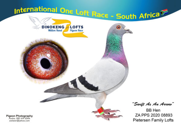 Lot 13- Dinokeng-Riverpark-Dane Pietersen-PIETERSEN FAMILY LOFTS-ZA PPS 2020 08893-BB-H-“SWIFT AS AN ARROW”