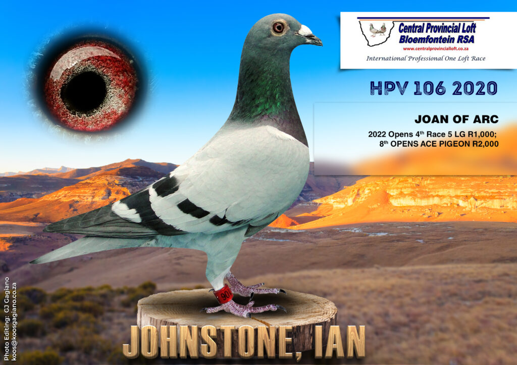 Lot 13 Central Lofts-Ian Johnstone-HPV 106 20 BB H—- “JOAN OF ARC” 8th ...