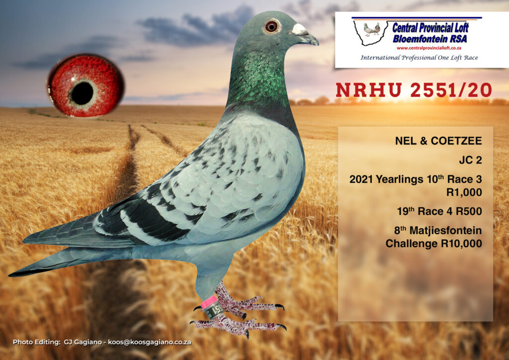 Lot 16 Central Lofts-Nel & Coetzee-NRHU 2551 20 BCH H—- “JC 2” Race ...