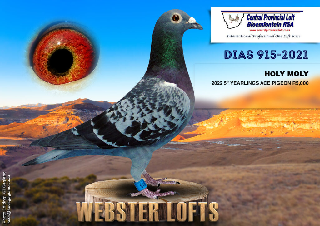 .Lot 6 Central Lofts-Webster Lofts-DIAS 915 21 BC H—-“HOLY MOLY” 5th ...