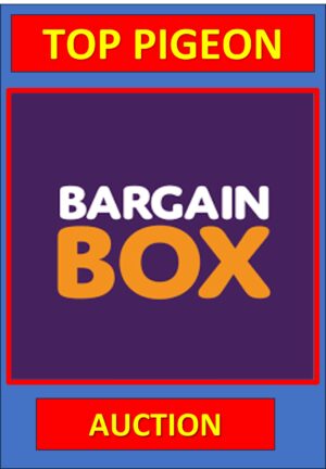 ACTIVE AUCTION - BARGAIN BOX - FROM 26 JULY TO SUNDAY 28 JULY 2024 (ENDS FROM 15:30)