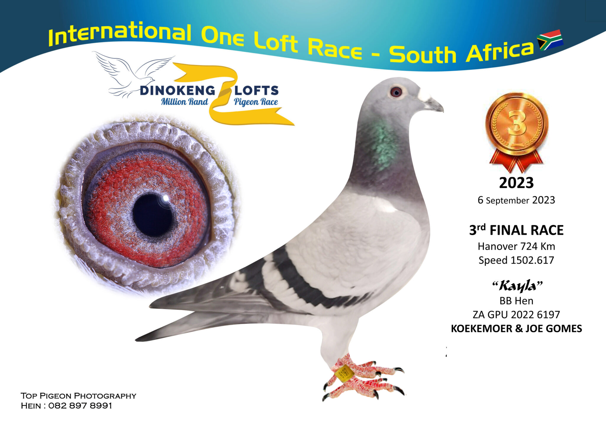 lot-10-dinokeng-olr-za-22-gpu-6197-bb-kayla-koekemoer-joe-gomes