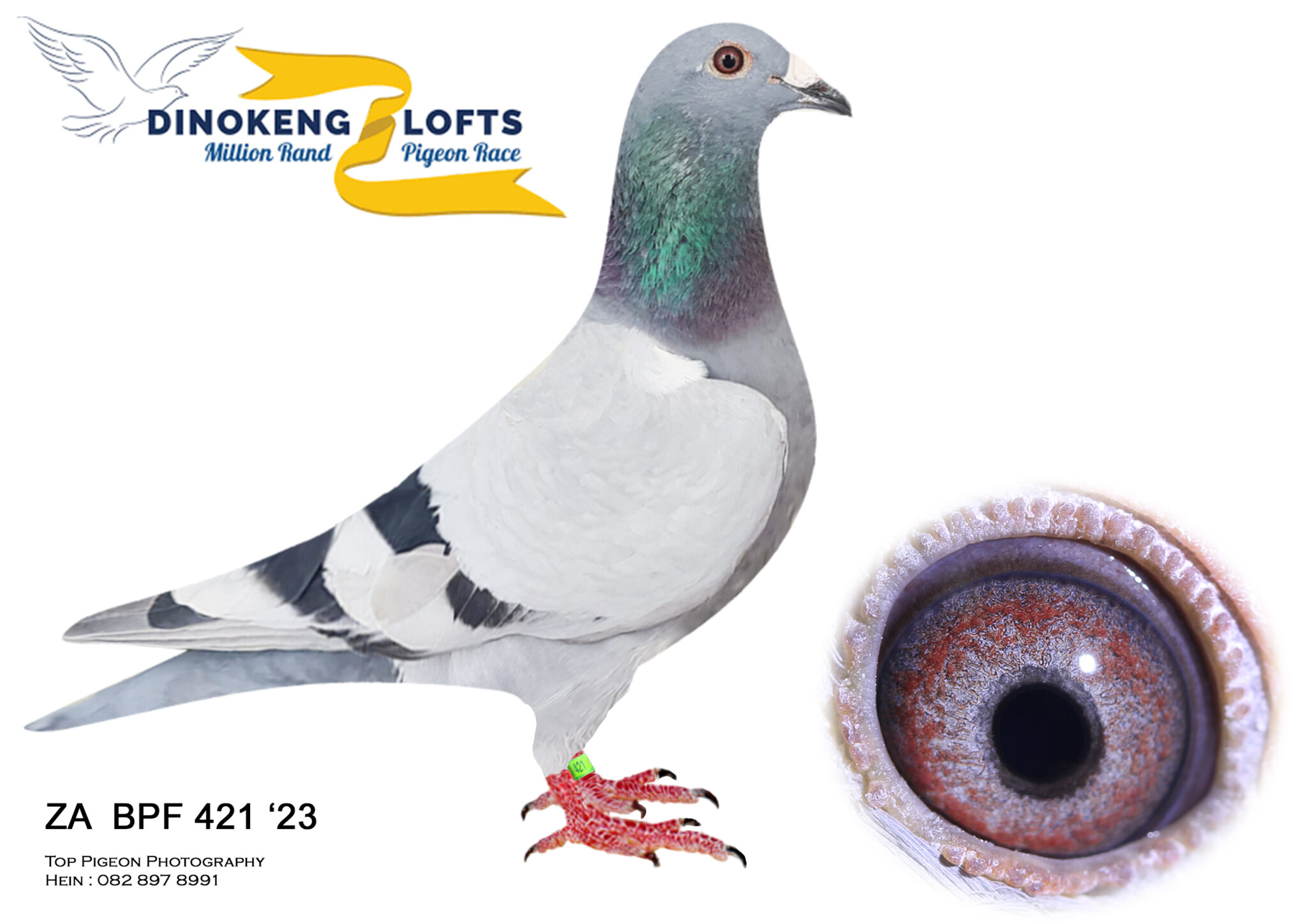 LOT 29 DINOKENG OLR – ZA 23 BPFD 421 BBAR “MELEYS” – KINGSLEA LOFTS ...