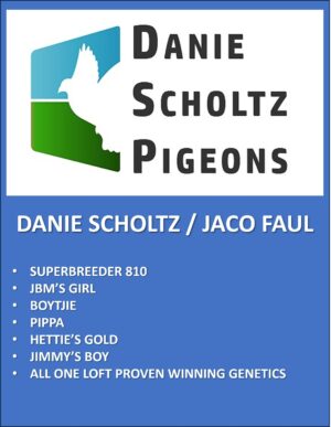 UPCOMING AUCTION - DANIE SCHOLTZ / JACO FAUL