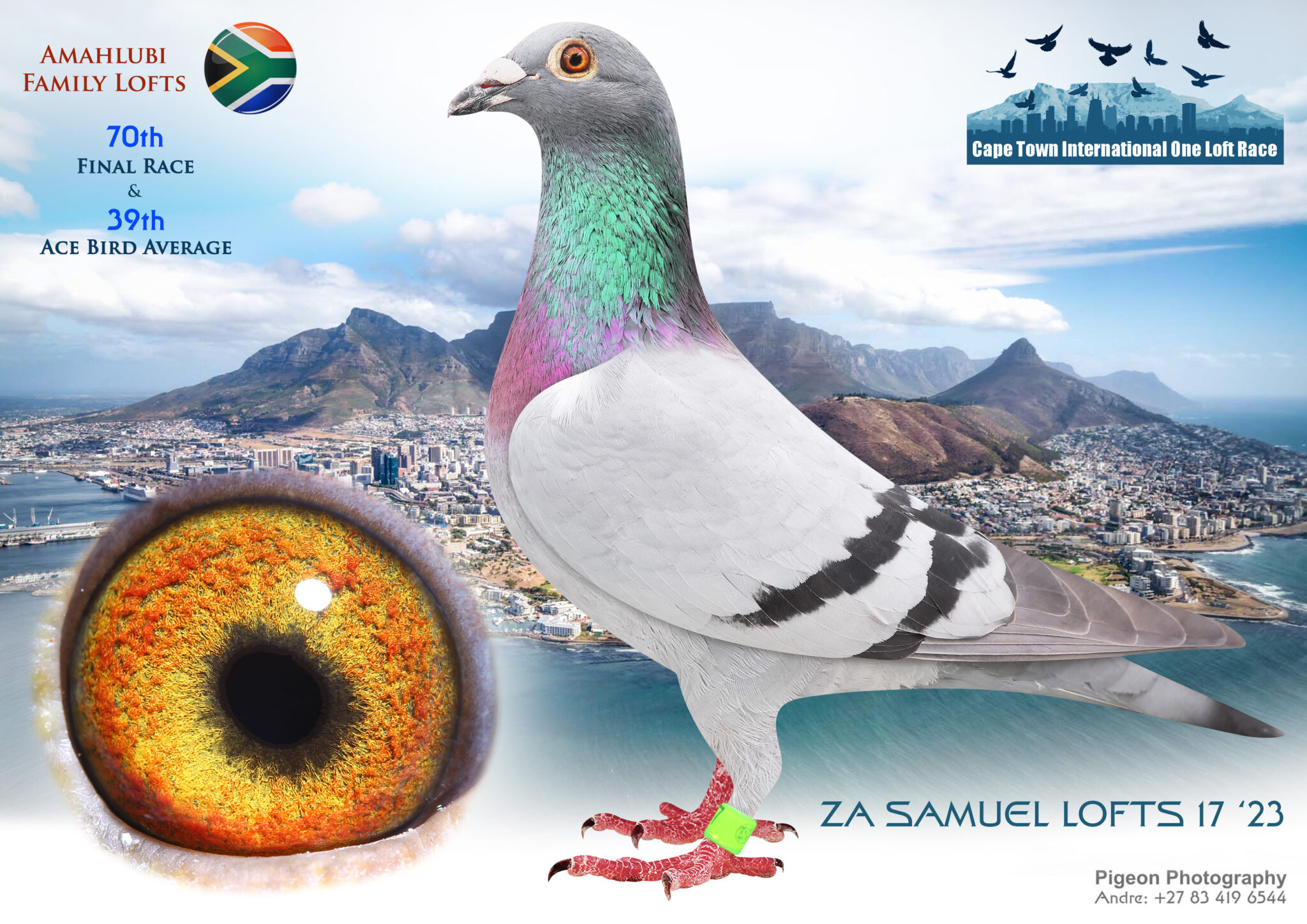 LOT 70 CAPETOWN INTERNATIONAL OLR AUCTION 1 -ZA 23 SAMUEL LOFT 17 ...