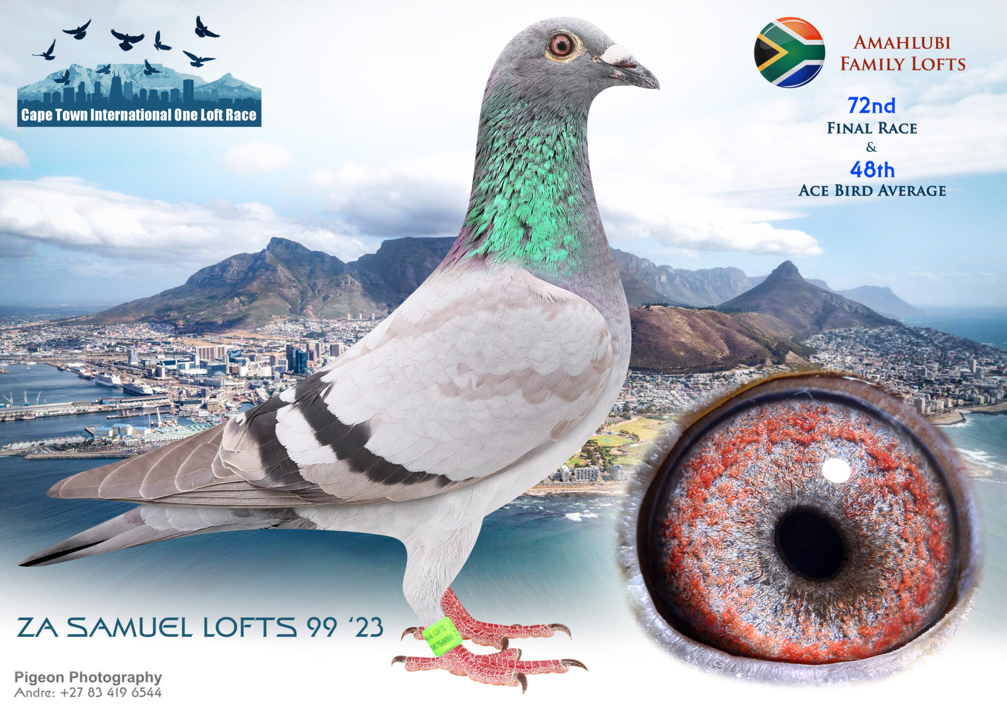 LOT 72 CAPETOWN INTERNATIONAL OLR AUCTION 2 -ZA 23 SAMUEL LOFT 99 ...