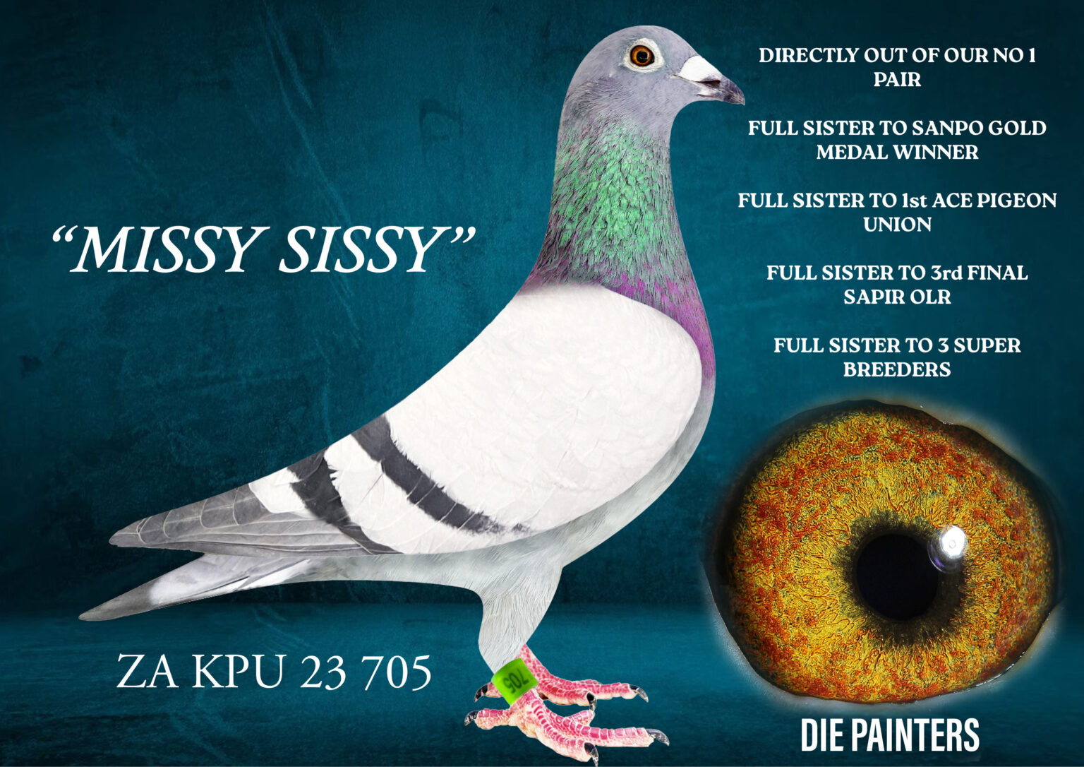 .LOT 1 DIE PAINTERS – ZA 23 KPU 705 BBAR —-Hen Painter Putt/NG BB Bred ...