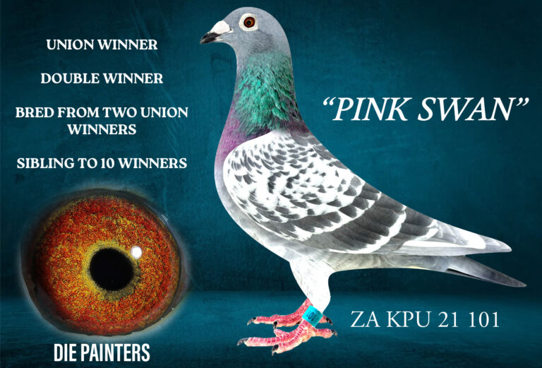 .LOT 4 DIE PAINTERS -ZA 21 KPU 101 CHWF – “PINK SWAN”. Painter NG ...