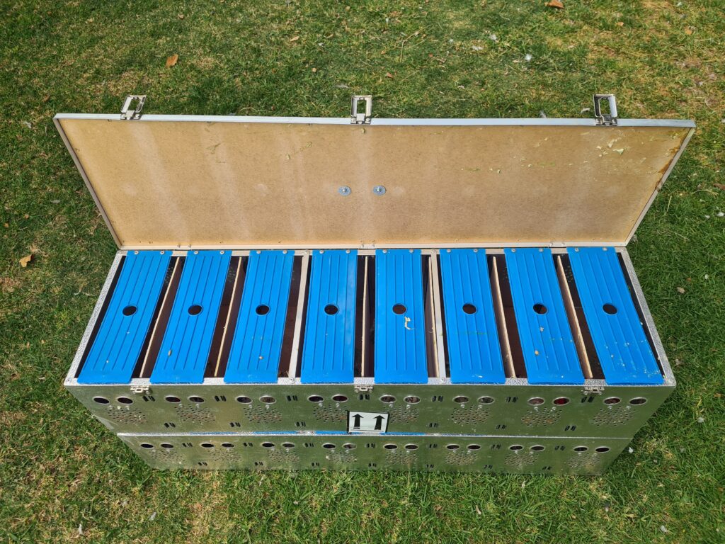 .LOT 1 PIGEON BASKETS Aluminium Pigeon Basket (Can take up to 16