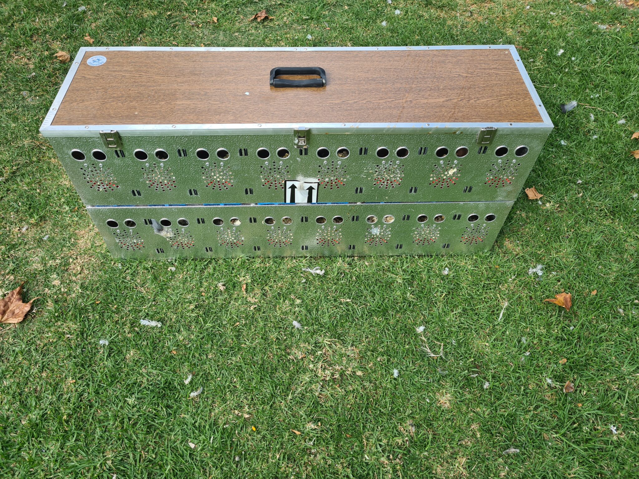 .LOT 4 PIGEON BASKETS Aluminium Pigeon Basket (Can take up to 16