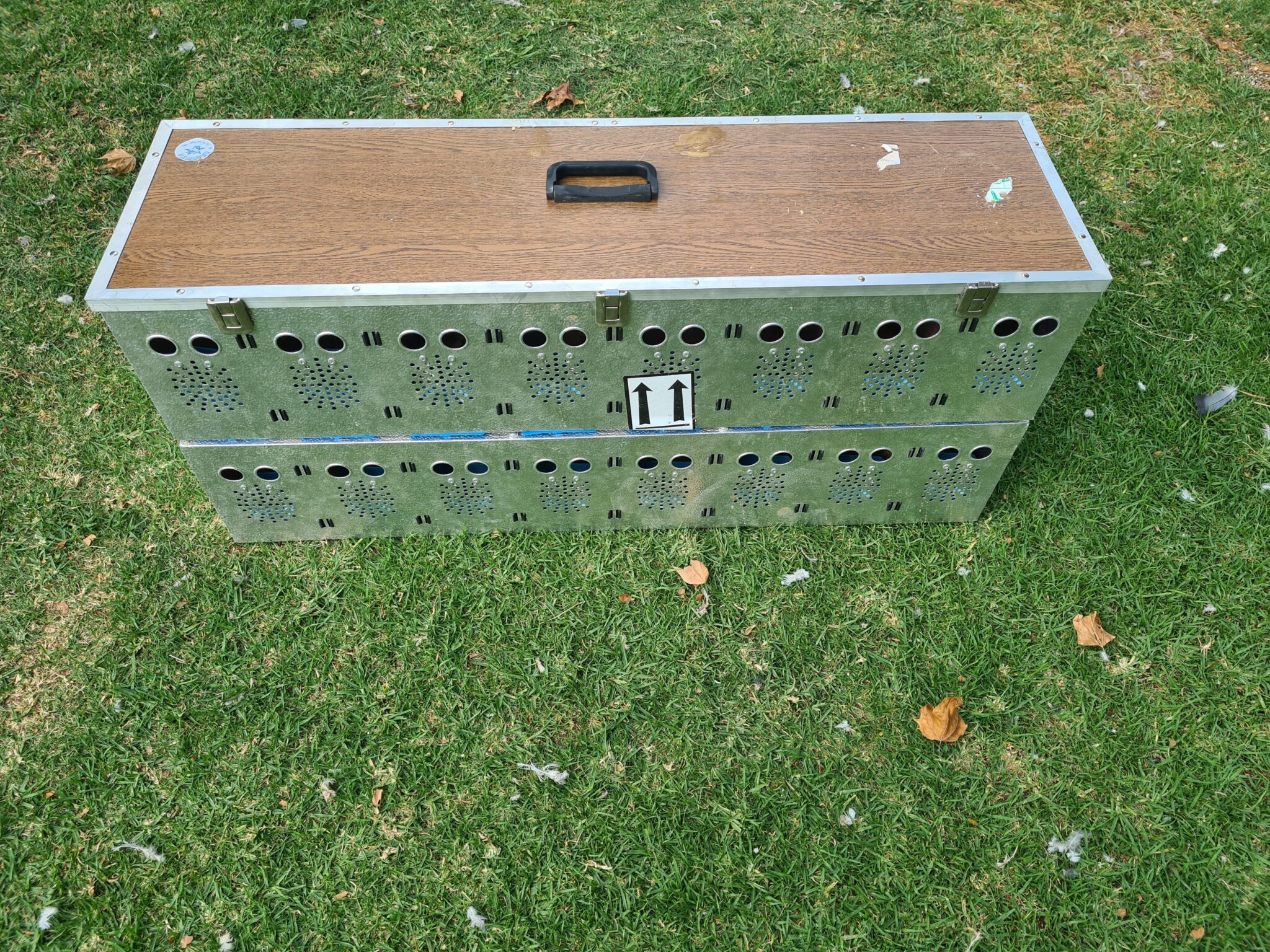 .LOT 5 PIGEON BASKETS Aluminium Pigeon Basket (Can take up to 16