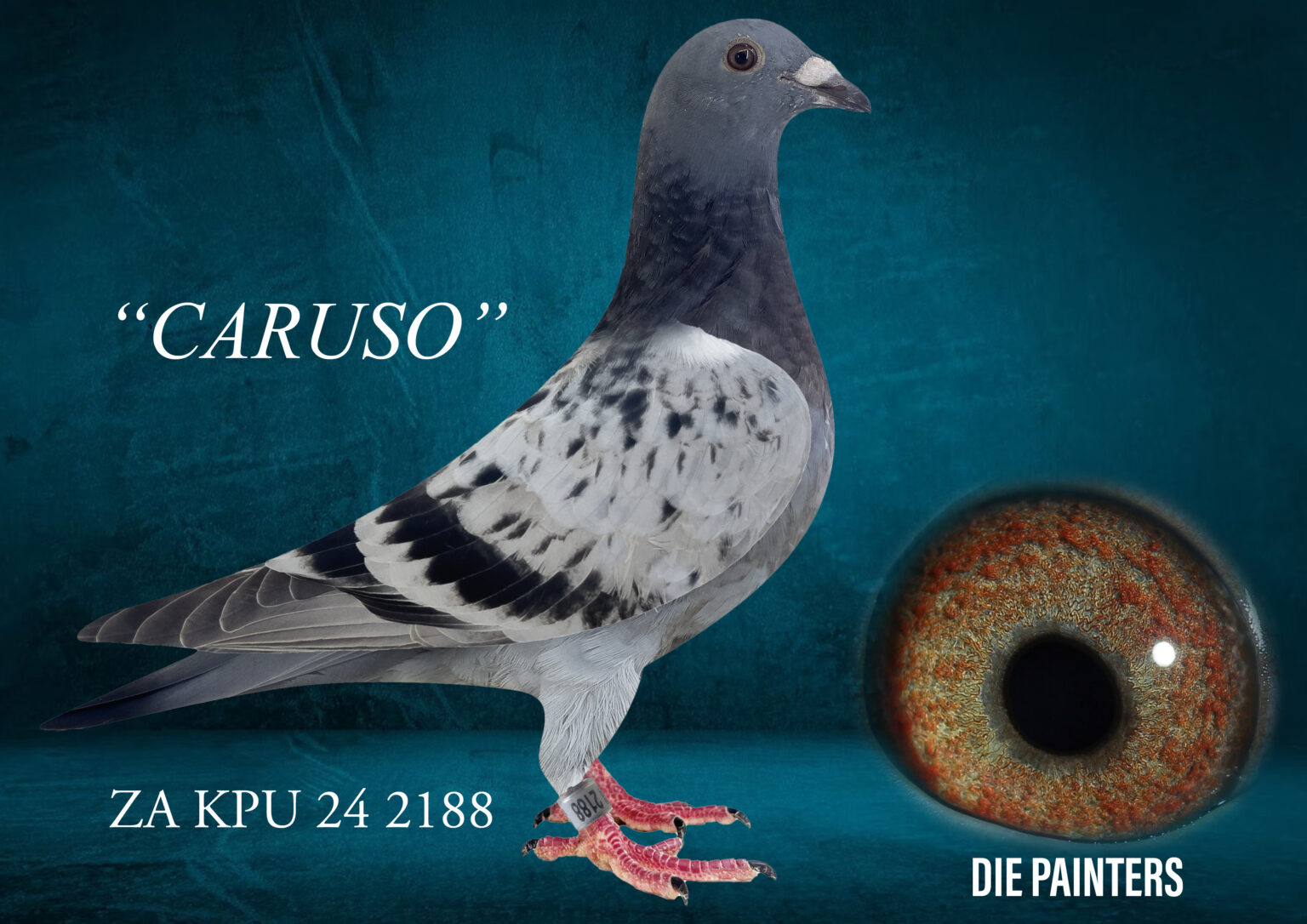 LOT 11 TOPPIGEON MID APRIL ZA 24 KPU 2188 Painter Putterie X Golden