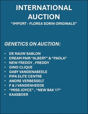 ACTIVE AUCTION - INTERNATIONAL AUCTION - FROM 25 APRIL TO SUNDAY 28 APRIL 2024 (ENDING FROM 13:45)
