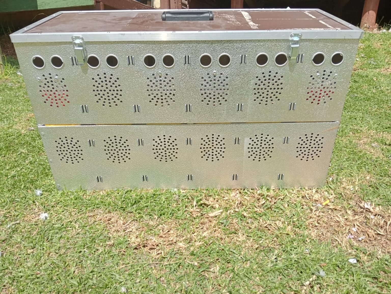 .LOT 4 PIGEON BASKETS Aluminium Pigeon Basket (Can take up to 12