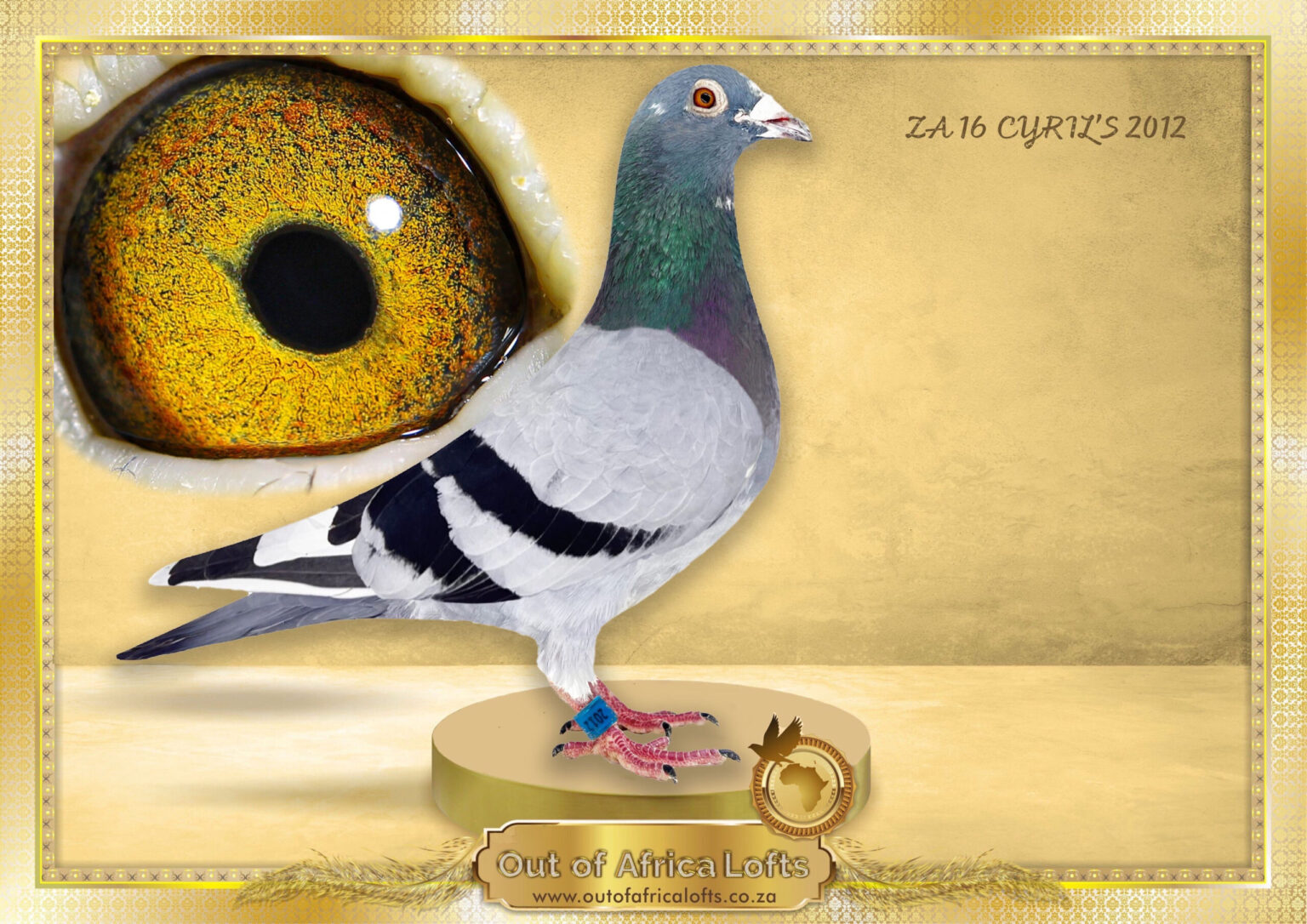 lot-4-extravaganza-auction-za-16-cyrils-2012-st-klapmuts-1st-bloem