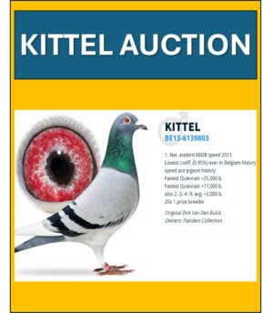 ACTIVE AUCTION - KITTEL AUCTION - FROM 26 JULY TO SUNDAY 28 JULY 2024 (ENDS FROM 15:15)