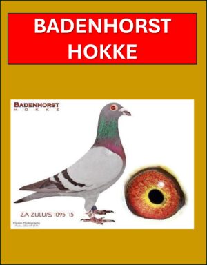 ACTIVE AUCTION - BADENHORST HOKKE - FROM 24 JULY TO SUNDAY 28 JULY 2024 (ENDS FROM 13:45)