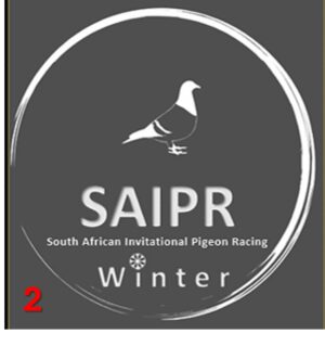 ACTIVE AUCTION - SAIPR AUCTION 2 - FROM 19 NOVEMBER TO SUNDAY 24 NOVEMBER 2024 (ENDING FROM 13:00)