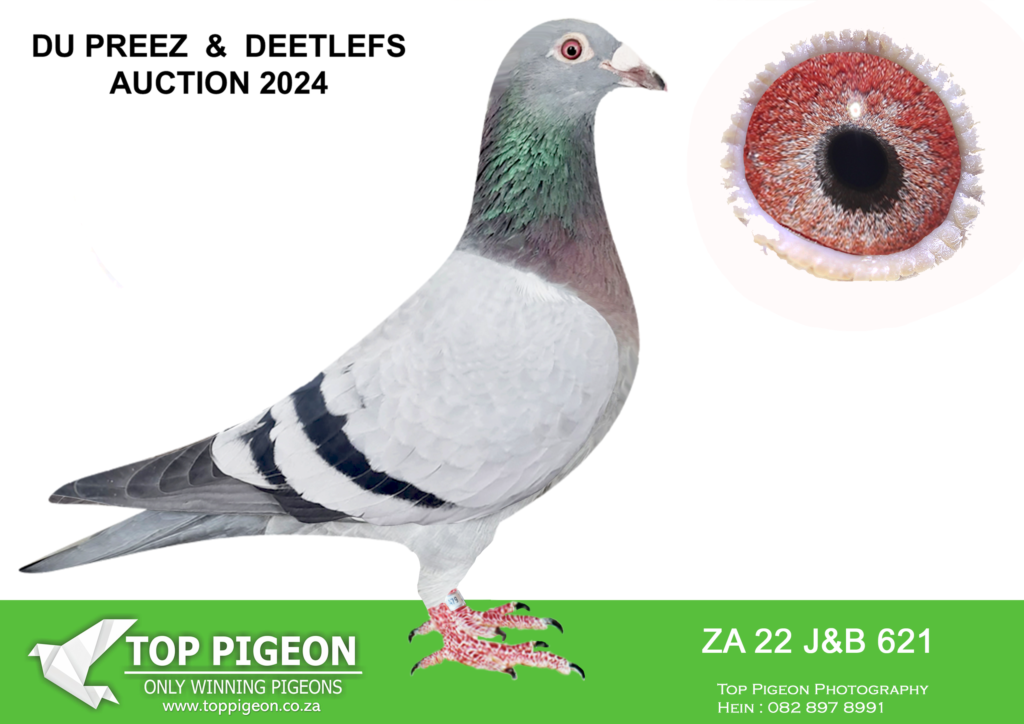 lot-87-du-preez-deetlefs-za-22-j-b-621-hen-scored-5-times-club-2024