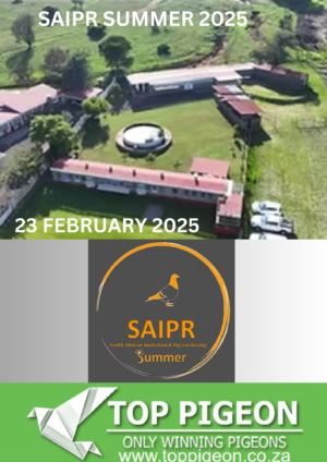 ACTIVE AUCTION - SAIPR SUMMER - FROM 17 FEBRUARY TO SUNDAY 23 FEBRUARY 2025 (ENDING FROM 13:00)