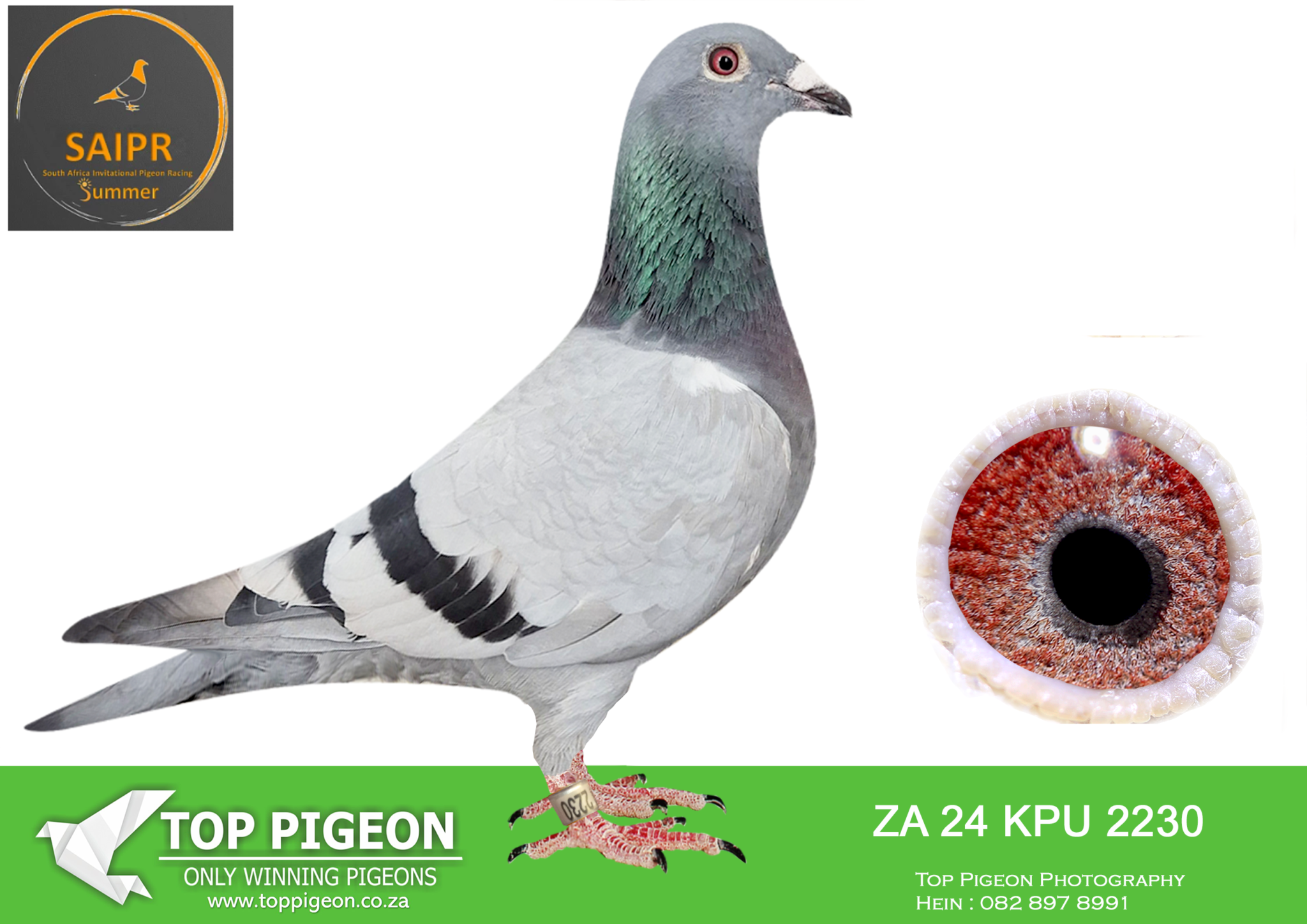 .LOT 5 SAIPR SUMMER AUCTION 2 – Team Painter & Ullrich- ZA KPU 24 2230 ...