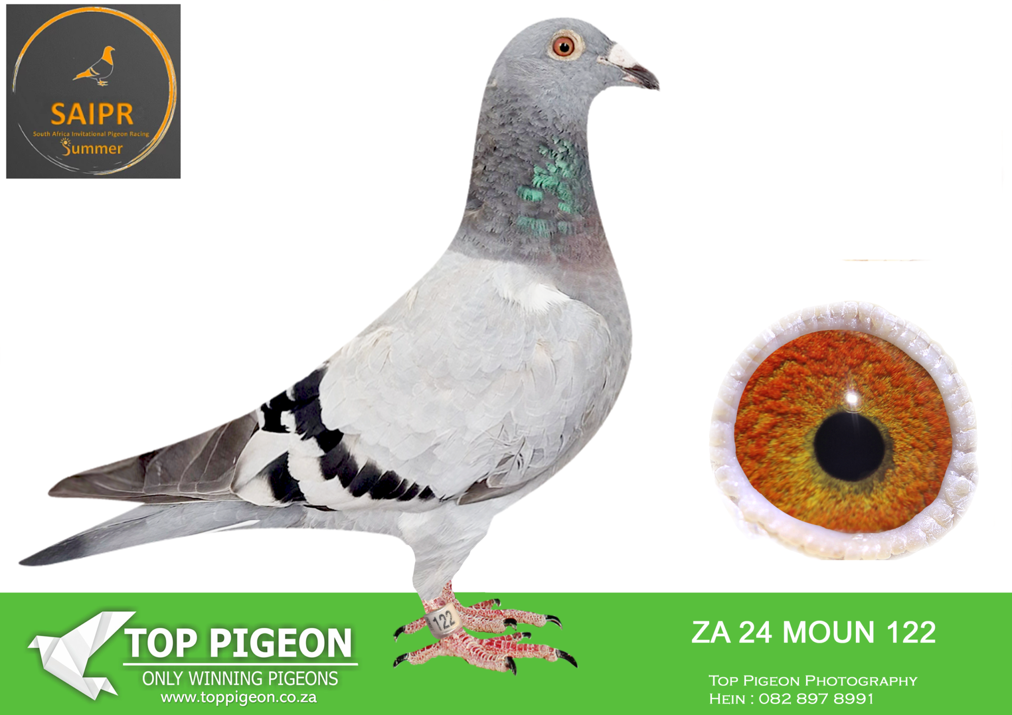 LOT 12 FATHERSDAY AUCTION – ZA MOUN 24 122 -14TH FINAL , 9TH GRAND ...