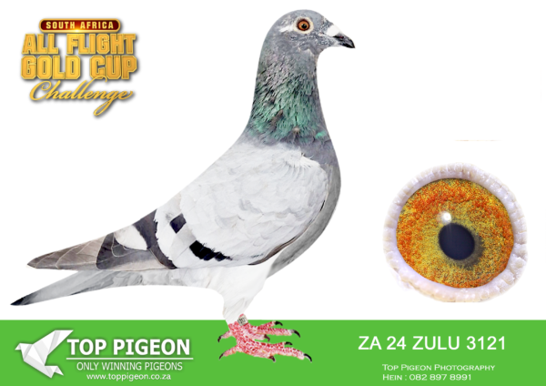.LOT 7 CARNIVAL SUMMER AUCTION 1-Charity Race Team 2-ZA ZULU 24 3121 –