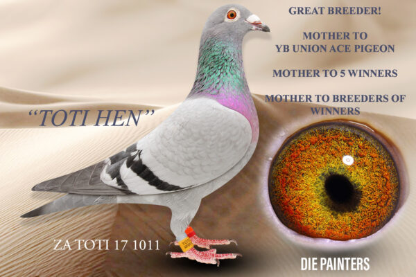 .LOT 6 DIE PAINTERS -ZA 17 TOTI 1011 “TOTI HEN” – Fantastic breeder! This hen has produced several great racers including “SURPRISE ACE” our 1st ACE PIGEON YB SERIES WRRPA UNION 2020. She has bred Top 1% performers with 3 different cocks and an outstanding characteristic is that cocks out of her fly equally well compared to the hens – this is a mark of a great stock hen! Her children and grandchildren also breed equally well. Her daughter “SURPRISE ACE” bred “SAINT SWEET” one of our best racers during 2022 winning when the going ewas tough with headwinds and high temperatures.SEE PEDIGREE!!!