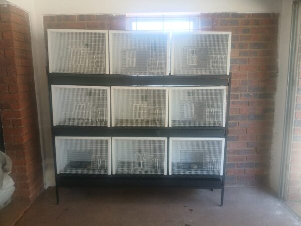 .LOT 1 Galvanized steel and powder coated cages – Cage sizes are 60L 30H and 30W. Used to bred finches/canaries and quarantine new pigeons.CAGES SITUATED IN WALKERVILLE , JOHANNESBURG. TRANSPORT TO BE ARRANGED BY BUYER!!!!
