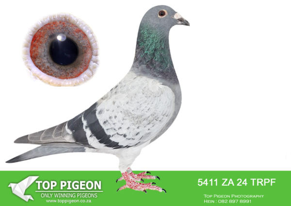 .LOT 3 END JUNE -5411 ZA 24 TRPF –