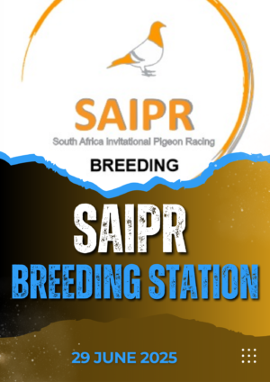 ACTIVE AUCTION - SAIPR BREEDING STATION - FROM 26 JUNE TO SUNDAY 29 JUNE 2025 (ENDING FROM 14:30)