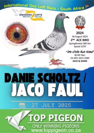 ACTIVE AUCTION - DANIE SCHOLTZ / JACO FAUL - FROM 24 JULY TO SUNDAY 27 JULY 2025 (ENDING FROM 15:45)