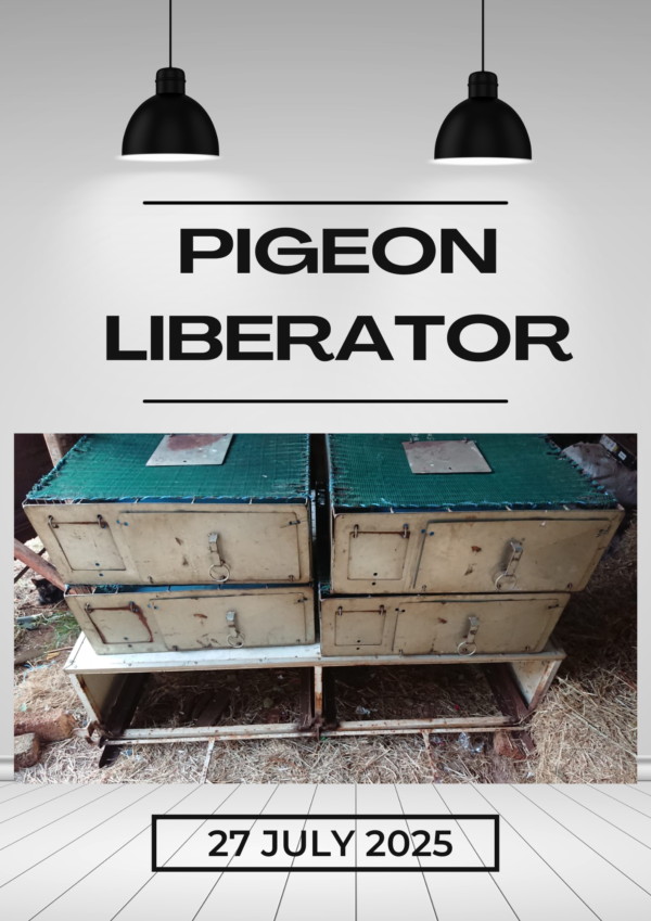 .LOT 1 PIGEON LIBERATOR – LIBERATOR SIZE (FITS ON FORD BANTAM): LENGHT:1558MM , WIDTH:1380MM , HEIGHT:375.5MM——CONSISTS OF 4 BASKETS (+- 25 PIGEONS PER BASKET——BASKET SIZE : LENGHT 679MM , HEIGHT 250MM , WIDTH 600MM. TRANSPORT FOR BUYERS ACCOUNT!!!!!!