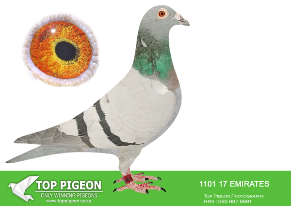 .LOT 4 PIETER BEKKER -EMIRATES 17 1101 –