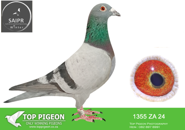 LOT 94 SAIPR OLR – WD Lofts- ZA 1355 2024*** –