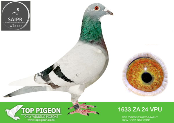 LOT 90 SAIPR OLR – OOA & RVV- ZA VPU 1633 2024 · Sunshine CHALLENGE –