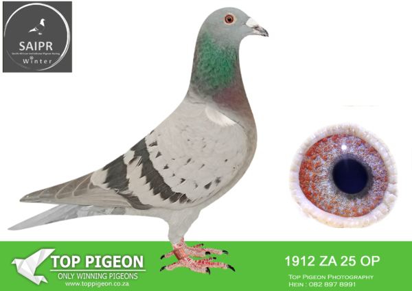 LOT 76 SAIPR OLR – Team Mauritius- ZA OP 1912 2025*** · Chris –