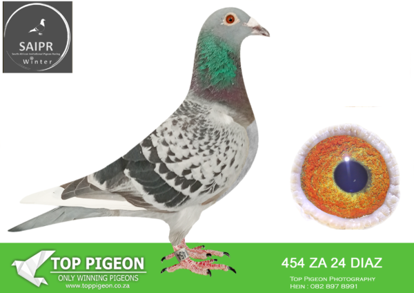 LOT 73 SAIPR OLR – Diaz olr- ZA DIAZ 454 2024*** –