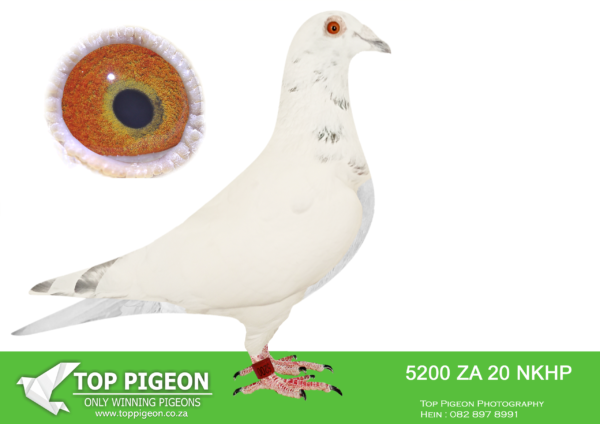.LOT 8 MUNNIK BOTHA -5200 ZA 20 NKHP –