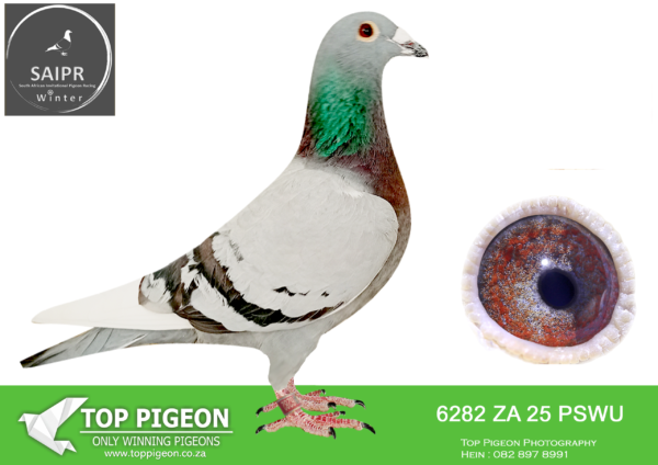 LOT 87 SAIPR OLR – Jan & Liam- ZA PSWU 6282 2025 · CHALLENGE –