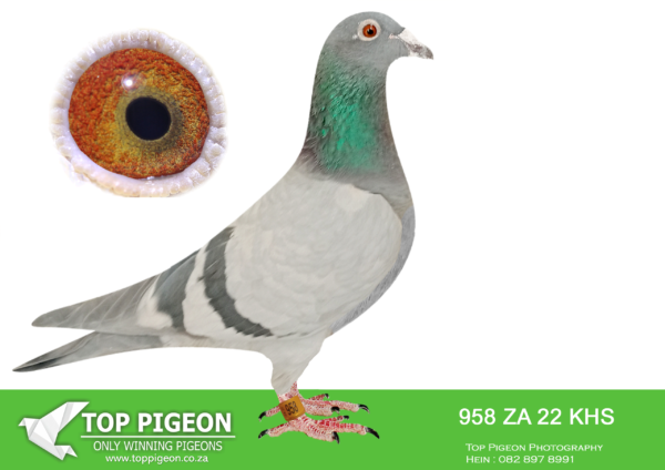 LOT 12 MUNNIK BOTHA -958 ZA22 KHS –