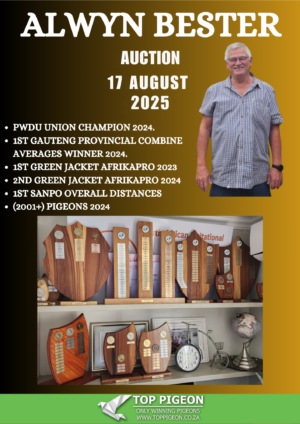 ACTIVE AUCTION - ALWYN BESTER - FROM 13 AUGUST TO SUNDAY 17 AUGUST 2025 (ENDING FROM 13:00)