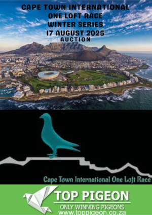 ACTIVE AUCTION - CAPE TOWN INTERNATIONAL ONE LOFT RACE WINTER SERIES - FROM 12 AUGUST TO SUNDAY 17 AUGUST 2025 (ENDING FROM 14:00)
