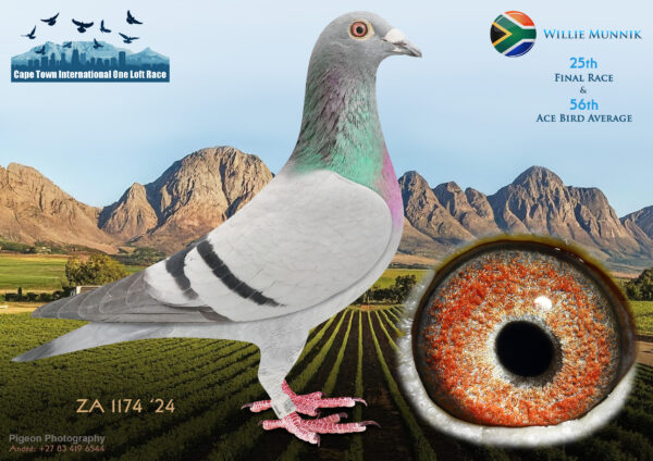 LOT 14 CAPE TOWN WINTER-Willie Munnik-ZA-24-1174 –