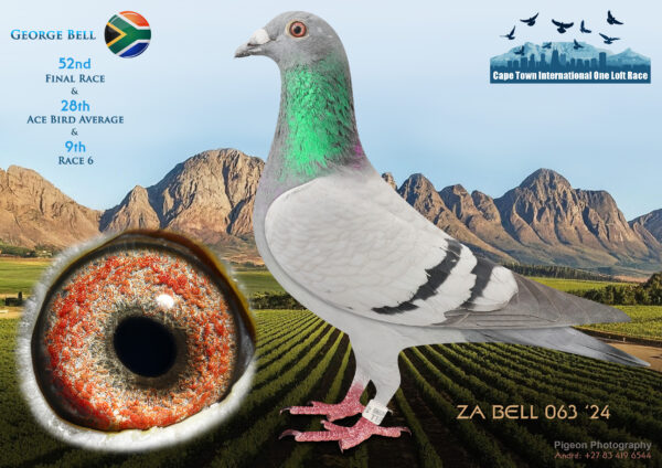 LOT 25 CAPE TOWN WINTER-George Bell-ZA-BELL-24-063 –