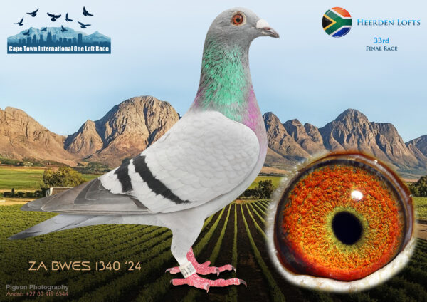 LOT 17 CAPE TOWN WINTER-Heerden Lofts-ZA-BWES-24-1340 –
