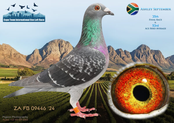 LOT 19 CAPE TOWN WINTER-Ashley September-ZA-FB-24-09446 –