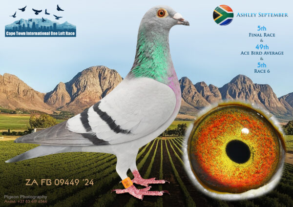 .LOT 4 CAPE TOWN WINTER-Ashley September-ZA-FB-24-09449 –
